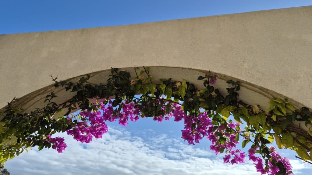 Why Mallorca - about mallorcadrive.com