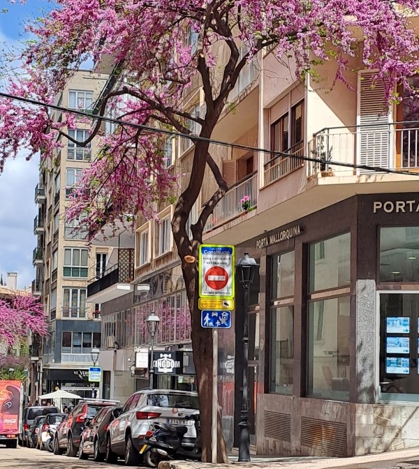 ACIRE in Palma de Mallorca - Avoid parking mistakes in Palma