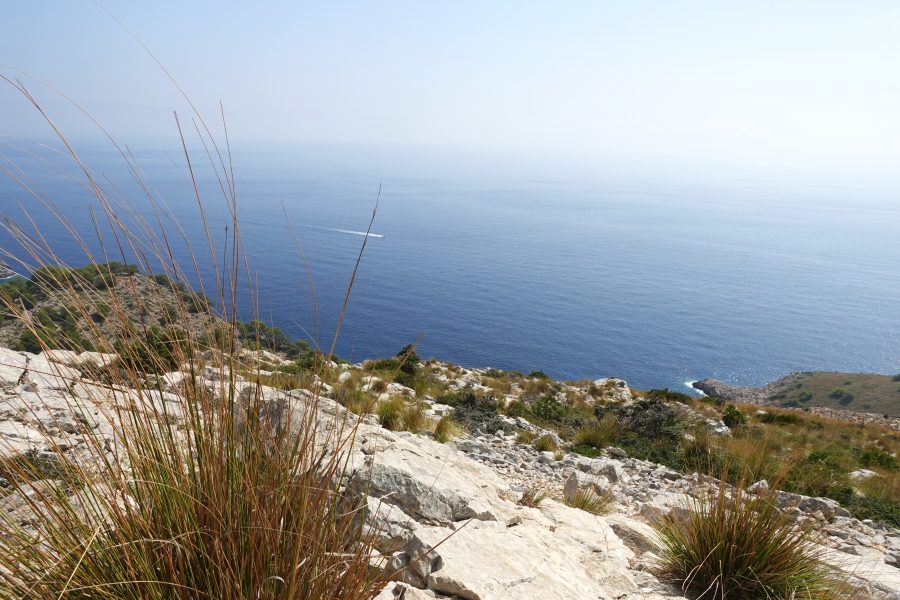 Torre Nova des Cap Vermell seaview - MallorcaDrive