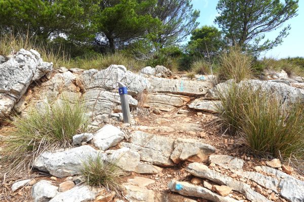 Torre Nova des Cap Vermell trail - MallorcaDrive