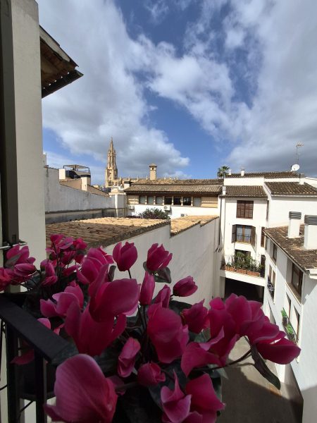 View from Suite Duplex - Hotel Basilica Palma de Mallorca