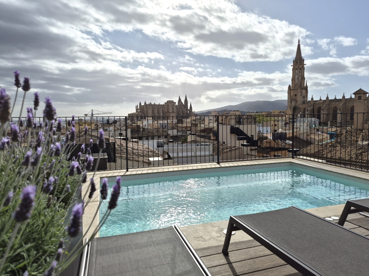 Roof pool Hotel Basilica - Palma de Mallorca