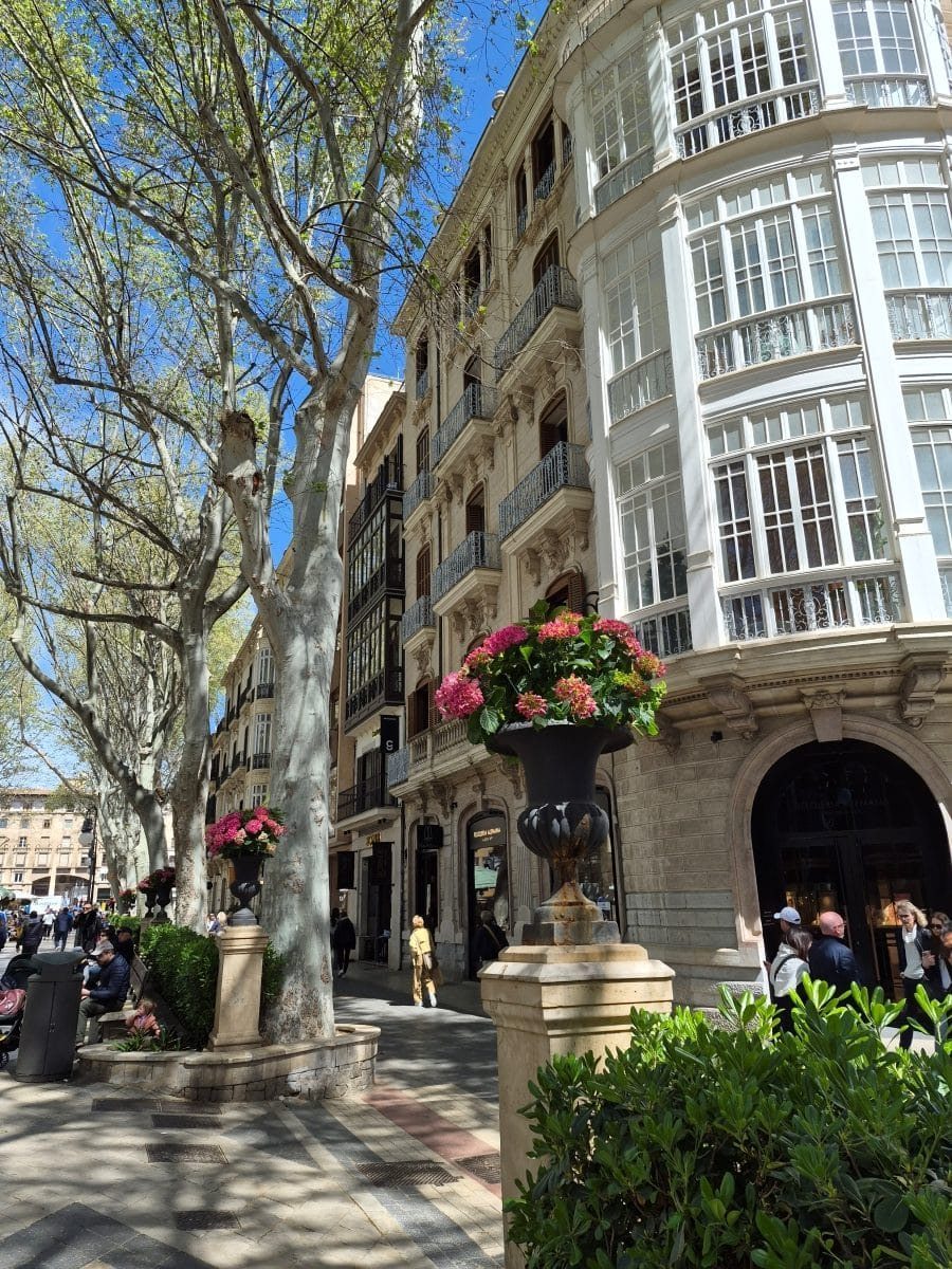 Palma The Mallorca in spring